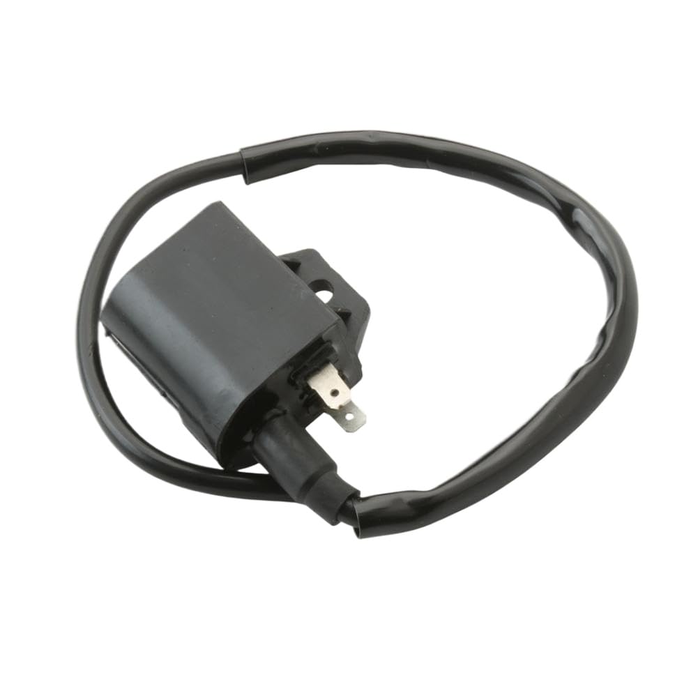 Bobina di Accensione Compatibile Con Vamos 50cc AC