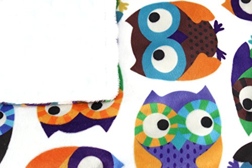 Image of Dear Baby Gear Deluxe Car Seat Canopy, Owls, Multi Color / White Minky Dot