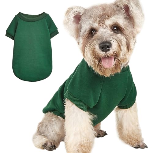 Image of Soft Puppy Sweater for Small Dogs Winter Knit Pullover, Green XS