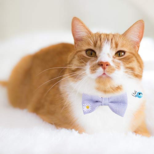 POPETPOP Pet Coleira Com Sino Gato Separatista Colarinho Arco Cão Gravata Borboleta Colar de Present