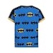 Warner Bros. Boy's 3-Pack Batman Short Sleeve Graphic Tee Shirt Set, Size 6