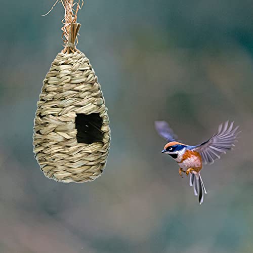 Nido de Pájaro, Casas de Colibríes para Colgar en El Exterior, Pajarera Exterior Ventana Jaula de Pájaros para Colgar del Arbol, Tejidas a Mano para La Decoración de Jardín