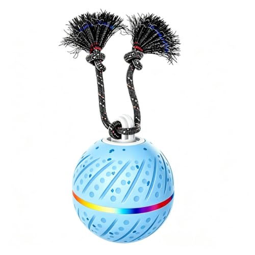 E-TPU Motion Dog Ball