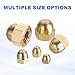 MECCANIXITY Acorn Hex Cap Nuts, M6x1mm Brass Dome Head Hex Decorative Cap Nuts for Screws Bolts Industrial Mechanical Electrical Equipment Repair Hardware(Gold Tone, Pack of 8)