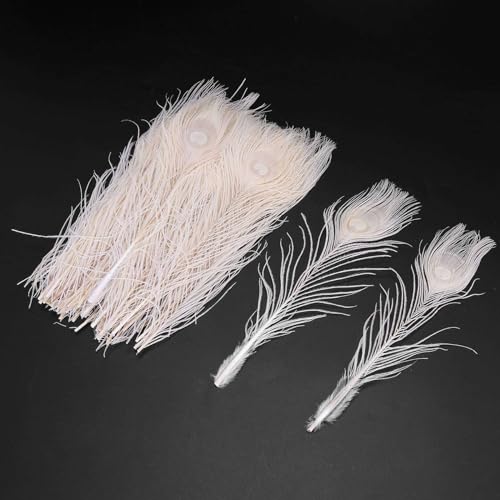 Plumas de pavo real para centros de mesa elegantes en banquetes y eventos pack de 250 5