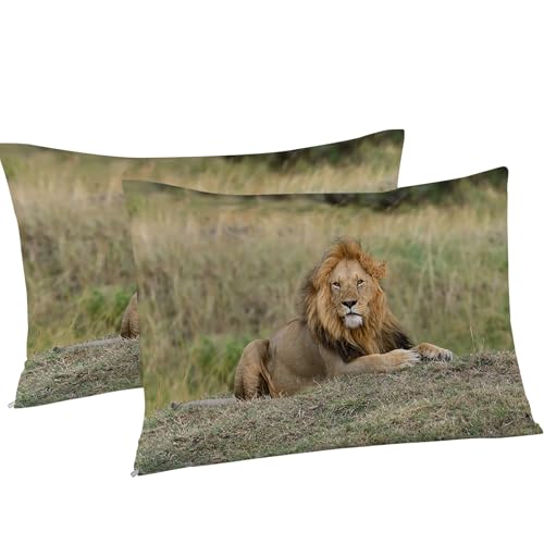 Housse de couette 160x200 lions pour créer une ambiance safari dans votre chambre