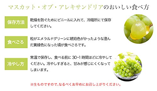 はちやフルーツ マスカット オブ アレキサンドリア 青秀 400g×2房 の商品画像 6