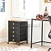 HOOBRO 5-Drawer Chest, Office File Cabinet with Drawers, Rolling Printer Stand, Filing Cabinet for Living Room, Home Office, Nonwovens Drawer, Easy Assembly, Black BFK50WJ01