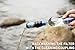 Sawyer Products SP131 Squeeze Water Filtration System w/ 3 Pouches (One 16-Oz, Two 32-Oz)