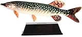 Vistrofee Real Fish Hecht 23 cm - Hechtwettbewerb - Angelwettbewerb - Wettbewerbsbecher Fischstatue