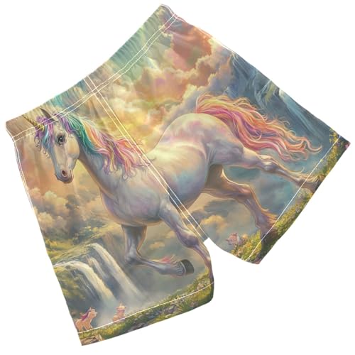 Pigsaly Boys Swim Trunks Unicorn Rainbow Blue Sky Boys Board Shorts Swimsuit Swimwear Summer Bathing Suit 2T2