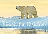 Autor(in): CALVENDO Verlag Eisbären: Lebenskünstler im Eis (Wandkalender 2022 DIN A2 quer)