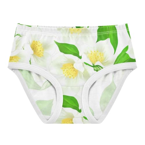 Girls Underwear Toddlers 2t Cotton Cute Panties Girl Fun Print Briefs Underpants White Jasmine Flowers Green Leaves