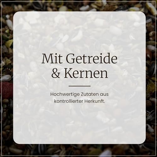 Erdtmanns 50 Meisenknödel mit Netz im Eimer 4,25 kg – Vogelfutter mit Getreideflocken & Sonnenblumenkernen – Ganzjahresfutter für Wildvögel – für Garten, Balkon & Bäume
