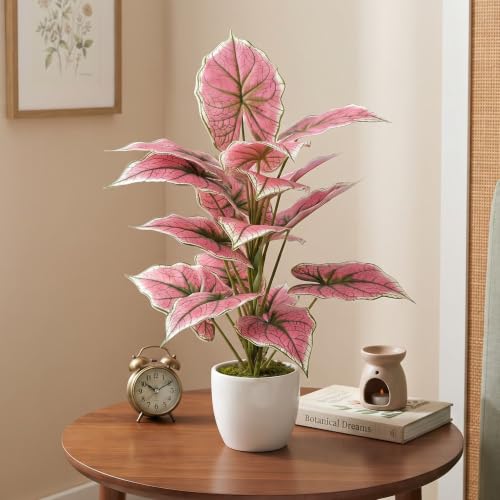 Image of Dekorly Artificial Caladium Plant Tree with White Pot 26 Inches | 66CM - Realistic Faux Leaf Plant for Home Decor, Bedroom, Living Room & Office (Pink Caladium | White Pot, Pack of One)