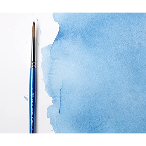 Winsor & Newton \Cotman Pinsel Kurzer Griff (7 Stück)