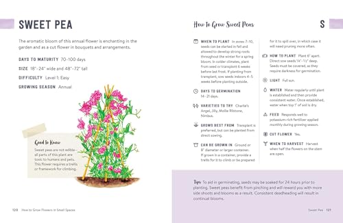How to Grow Flowers in Small Spaces: An Illustrated Guide to Planning, Planting, and Caring for Your Small Space Flower Garden - Image 6