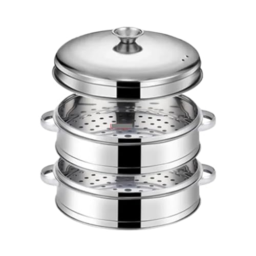 Stainless Steel Steamer Fish Steamed Stuffed Bun Rack Kitchen Tools Multilayered Insert with Holder for Dumpling Momo(22.5cm 2 layer 1 Lid)