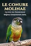 Le guide du passionné: La Conure Molinae