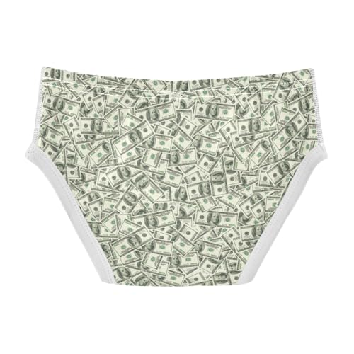 Boys' Exclusive Briefs Toddler Underwear 95% Combed Cotton Boxerbriefs 2T Money Bill Pattern 162