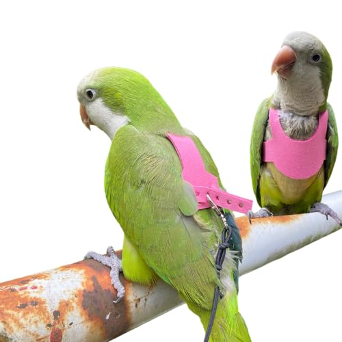 PARREN Bird Flight Harness Vest, Parrot Flight Suit with Leash for Parakeets, Bird Flying Clothes with Rope and Handle for Outdoor Activities Training, Anti Bite (3XL), Red