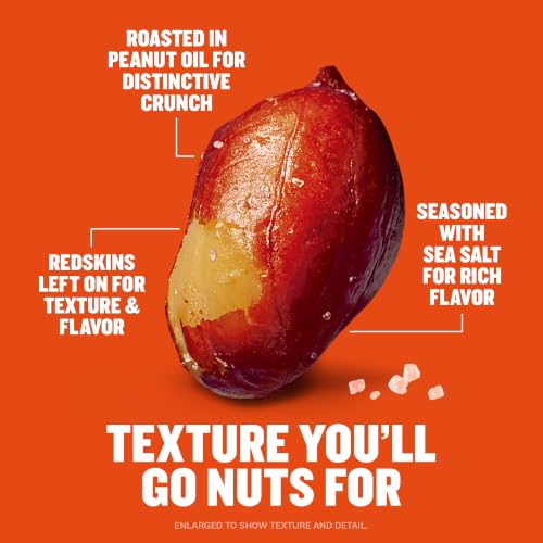 Image of PLANTERS Salted Redskin Spanish Peanuts, Plant Based Protein, 12.5 Oz