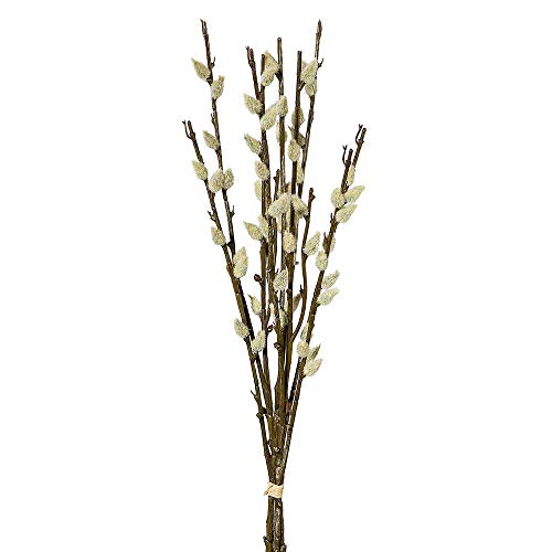 WEIDENKÄTZCHEN Bund x3 Zweige/je 4 Triebe, L42cm, Kunststoff !!! Cover