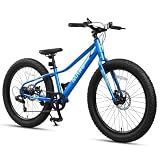 Glerc Mars Fat Tire Bike