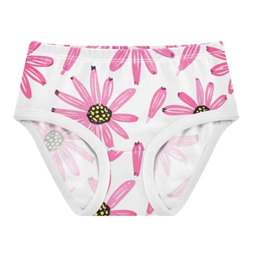 Pink Coneflowers White Toddler Underwear Custom 2t Cotton Girl Panties Cute Artistic Briefs Undies Kids