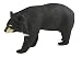 Safari Ltd. Moon Bear – Realistic Hand Painted Toy Figurine Model – Quality Construction from Phthalate, Lead and BPA Free Materials – For Ages 3 and Up