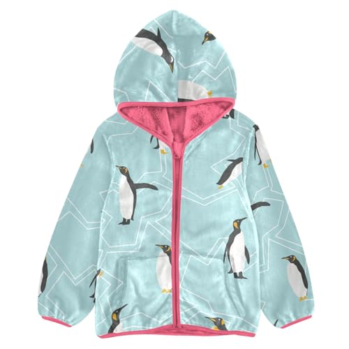 OTVEE Penguin Animals Pattern Kids Hoodie Jacket Fall Spring Full Zip Warm Outwear Coat