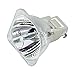 BORYLI Moving Head Light Bulb 230w 7R for Stage Lighting (7R 230w Bulb -Rectangle)