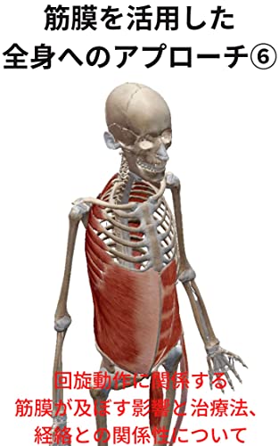 筋膜を活用した全身へのアプローチ⑥: 回旋動作に関係する筋膜が及ぼす影響と治療法、経絡との関係性について アナトミートレイン