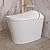 DeerValley Smart Toilet with Bidet Built In, Tankless Toilet with Heated Bidet Seat, Auto Flush, Warm Water & Dryer, Deodorization, and Remote Control