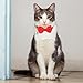 Xyembu 2 Pcs Breakaway Cat Bow Tie Collar with Bell Adjustable Safety Collars Soft Collar for Cats Kittens Small Pets, Blue and Red