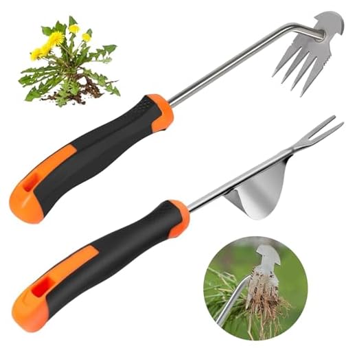 Stainless Steel Garden Weeder Tool