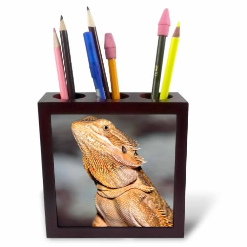 3dRose Bearded Dragon, Pogona vitticeps, lizard, reptile - NA02 AJE0365 - Adam Jones 5 inch tile pen holder