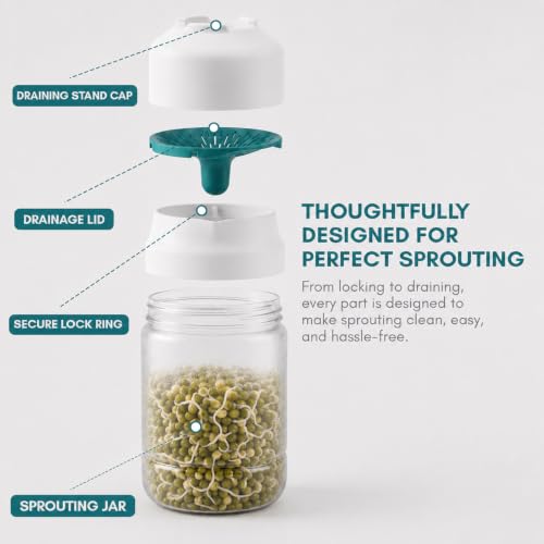 Image of GO STORE Sprout Maker Jar 1100 ml | Seed Sprouting Jar with Mesh Drain Lid & Stand | Sprouts Maker for Moong, Chana, Methi, Lentils, Beans & Seeds