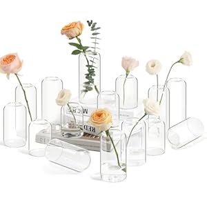 ComSaf Small Flower Vase Set of 15, Glass Bud Vases in Bulk, Clear Vases for Flower, Decor Centerpiece for Bathroom, Decorative Vases for House Warming, Valentines’ Day, Mother’s Day, Thanksgiving Day