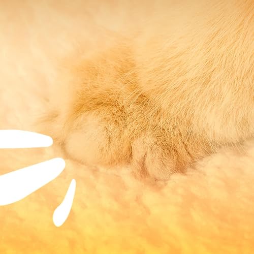 Casa de gato para gatos internos,Casa de gato ao ar livre,Casa para gato dormindo para animais de es