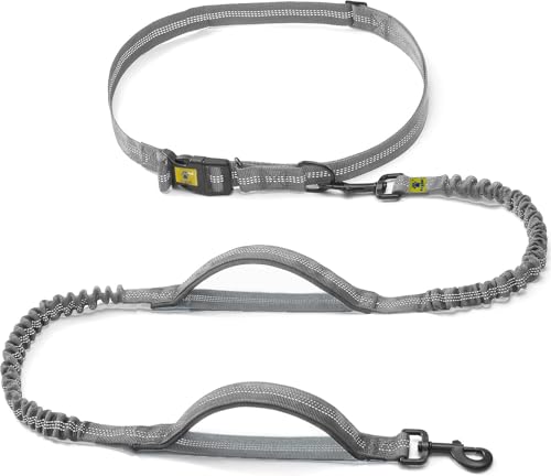Image of A+a Pets' 2in1 Bungee Hands-Free Dual Hold Dog Leash | Waist Body Elastic Leash for Running | Adjustable Lightweight Nylon Waterproof Multi-Function Belt Lead (Grey)