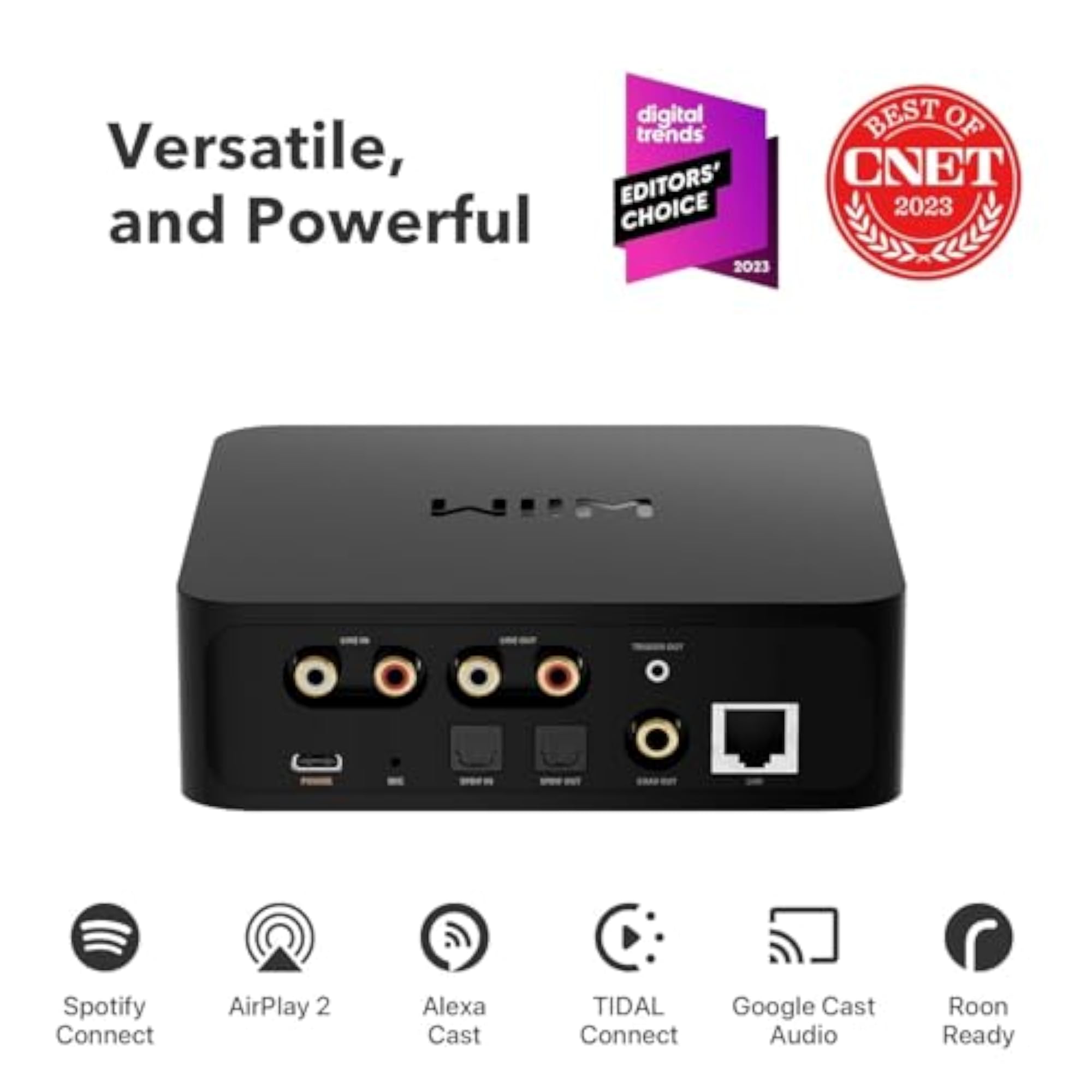 Pro AirPlay 2 Receiver, Multiroom Streamer
