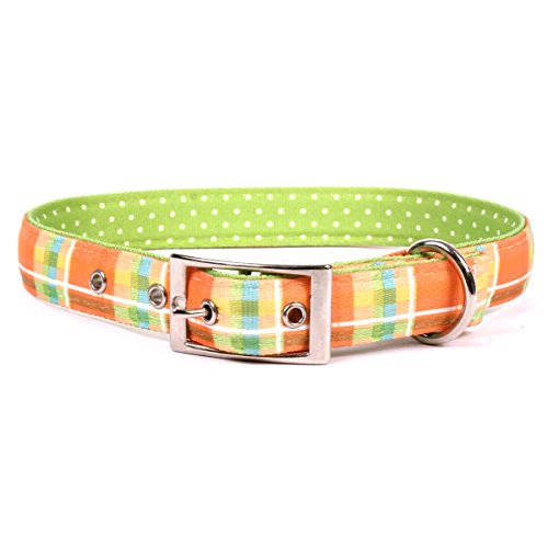 Yellow Dog Design Madras Orange Uptown Dog Collar, Large-1