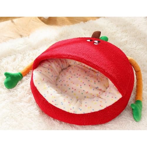 FILWY Lxbh xbh ~pybgnEX ی^ p ӂӂۉh hh ~ 􂦂 ό`ɂ  (L,C`B)