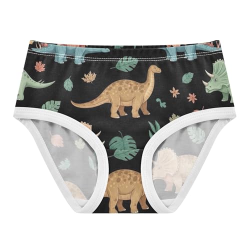 Classic Dinosaurs Stegosaurus Leaves Black Girls Underwear Toddler 2t Cotton Panties for Girl Funny Briefs Underpants