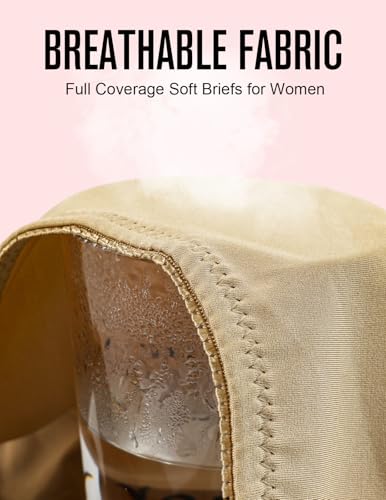 4Pack Women's High-Waist Light Tummy Control Girdle Panties Full Coverage Underwear Ladies Panties for Women4