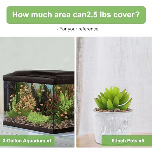 Pulovin Pea Gravel for Plants, 2.5lbs, 1/5 Inch Natural Decorative Pebbles for Fish Tank, Aquarium, Succulent, Terrarium, Cactus, Vase, Matte Texture, Mixed Color