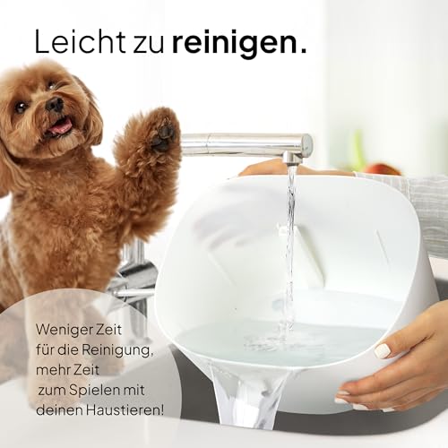 Pretty Paw Trinkbrunnen für Hunde - Super leiser Hunde Trinkbrunnen mit 7 Liter Wassertank - BPA-freier Hundebrunnen mit Filter & LED - Leicht zu reinigender Dog Wasserspender