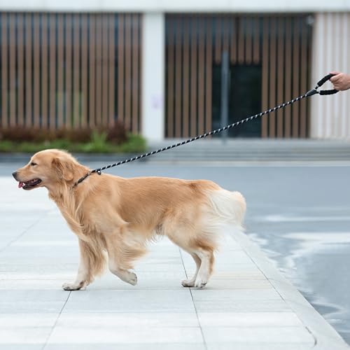 iYoShop Durable Slip Lead Dog Leash with Padded Handle and Highly Reflective Threads, No Pull Dog Training Leash, (1/2" x 5 FT, Black)