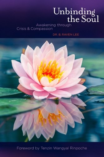 B Raven LeeUnbinding the Soul: Awakening Through Crisis and Compassion